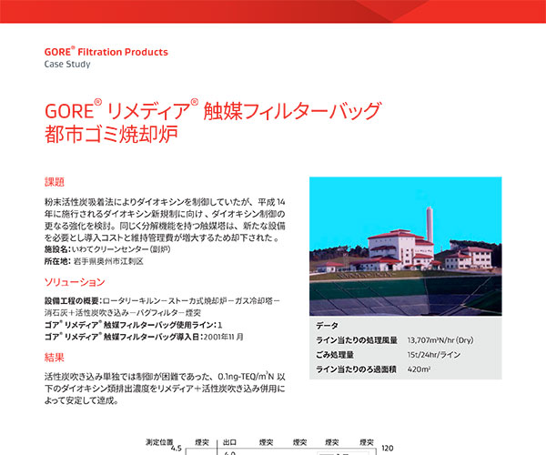 Case Study - Remedia Japan 2001