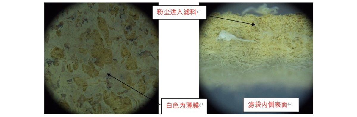 戈?duì)柤夹g(shù)團(tuán)隊(duì)在顯微鏡下觀察之前的濾膜表面及濾袋截面發(fā)現(xiàn)已有鋰電材料粉塵進(jìn)入情況